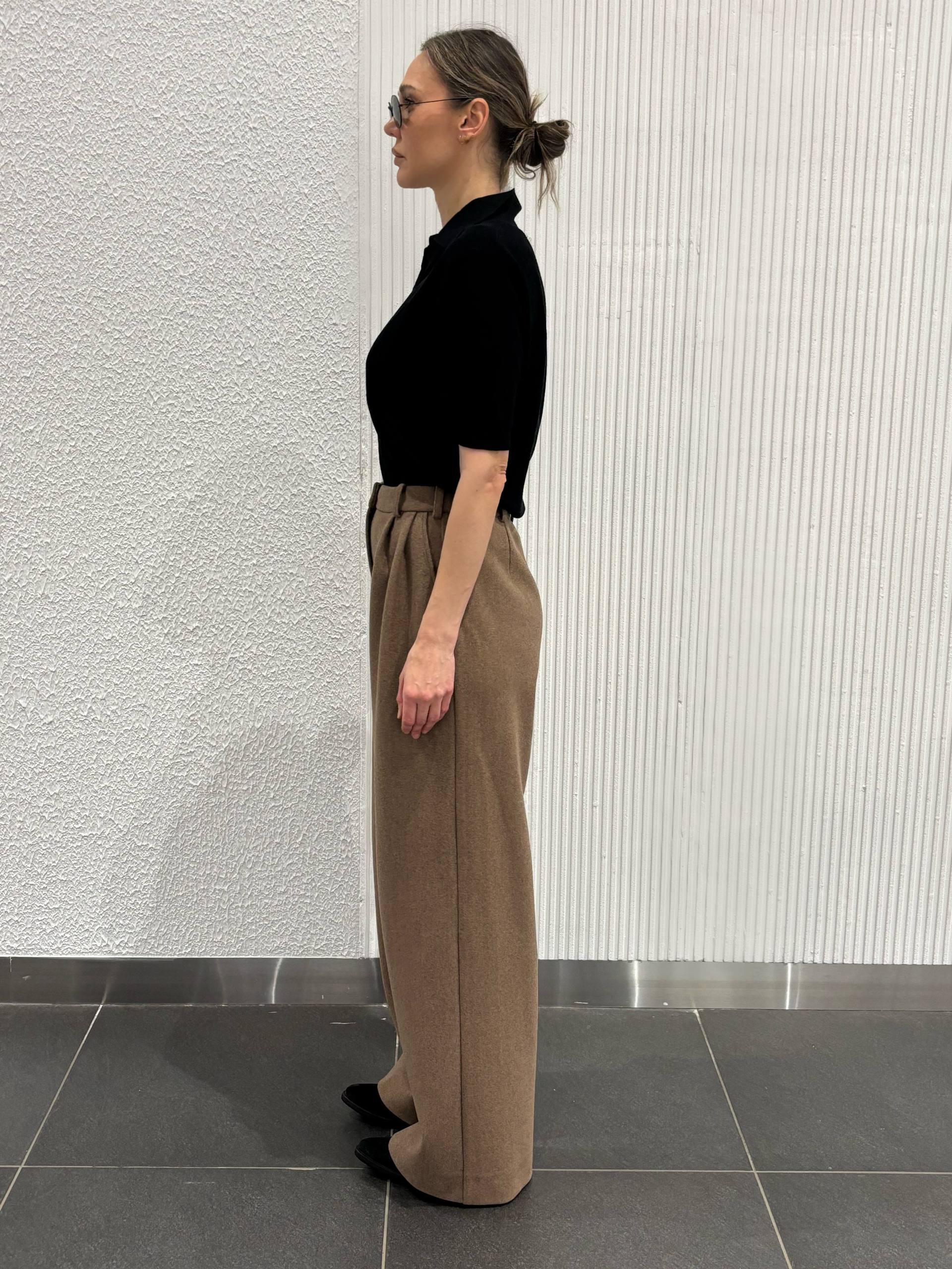 Брюки с защипами PE.100.2212.10.2220.06 от интернет-магазина PFG STUDIO