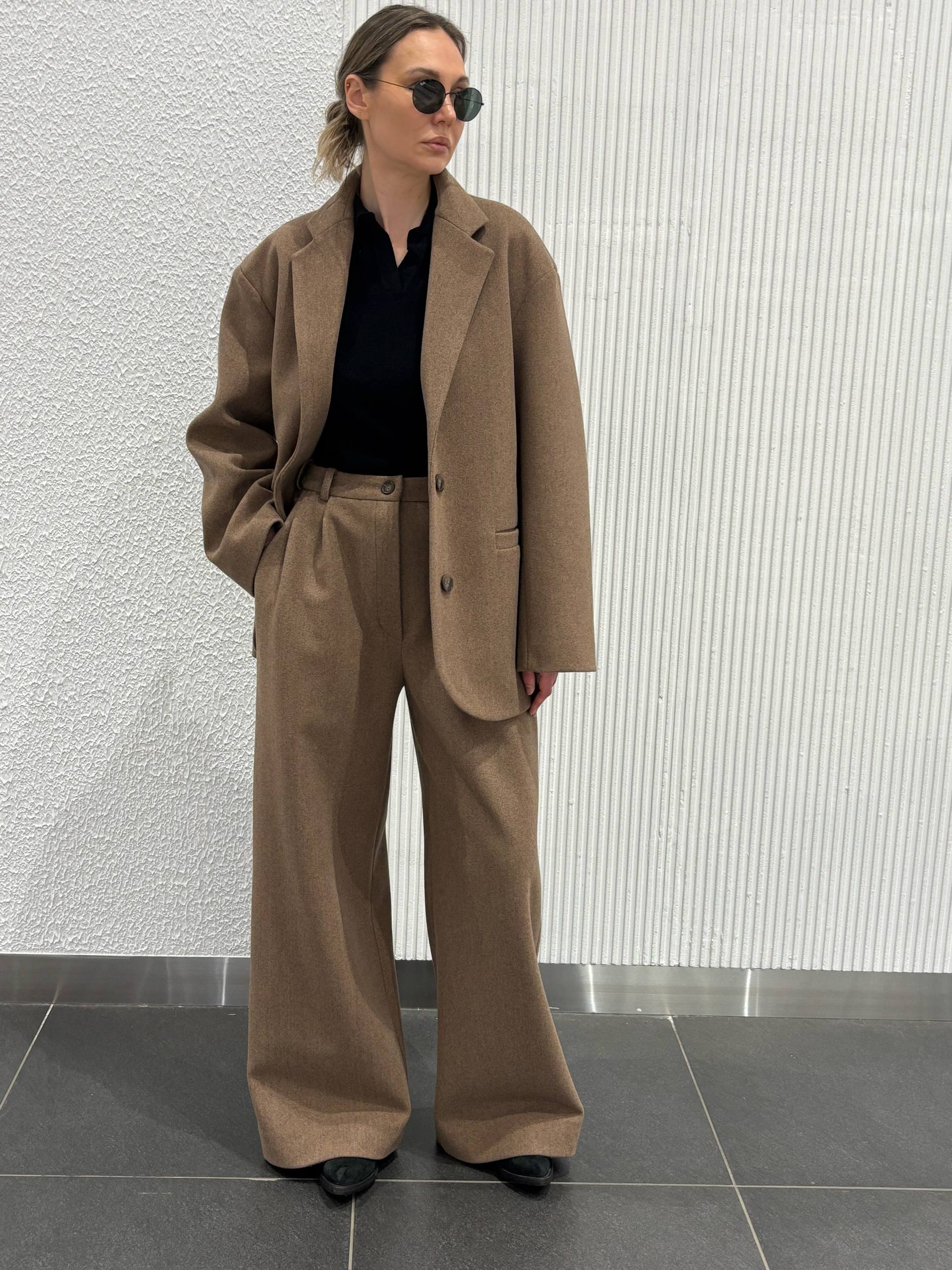 Брюки с защипами PE.100.2212.10.2220.06 от интернет-магазина PFG STUDIO