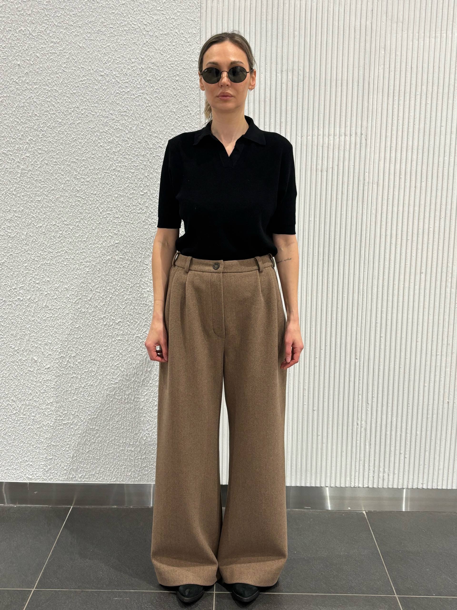 Брюки с защипами PE.100.2212.10.2220.06 от интернет-магазина PFG STUDIO